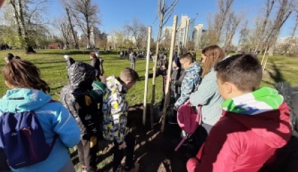 У акцији озелењавања града