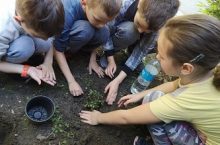 Уређење школског дворишта